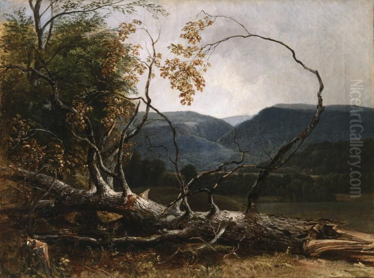 Study from Nature, Stratton Notch, Vermont Oil Painting by Asher Brown Durand