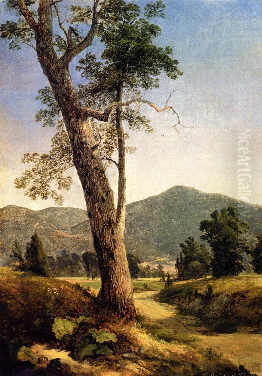 Landscape Beyond the Tree Oil Painting by Asher Brown Durand