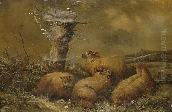Sheep In A Winter Landscape Oil Painting by John Morris