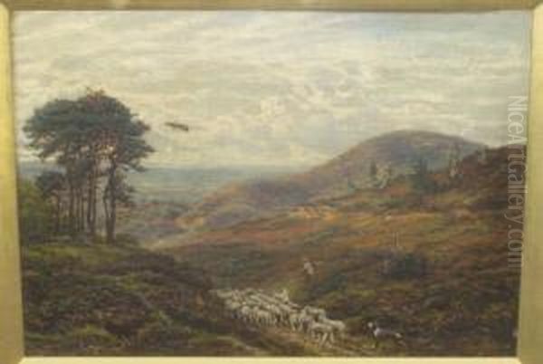 Drover And His Dog With Sheep On
 A Country Path, Probably A Scene On The Hog's Back, Surrey Signed, Oil 
On Canvas, 36.5cm By 51cm Oil Painting by George William Mote