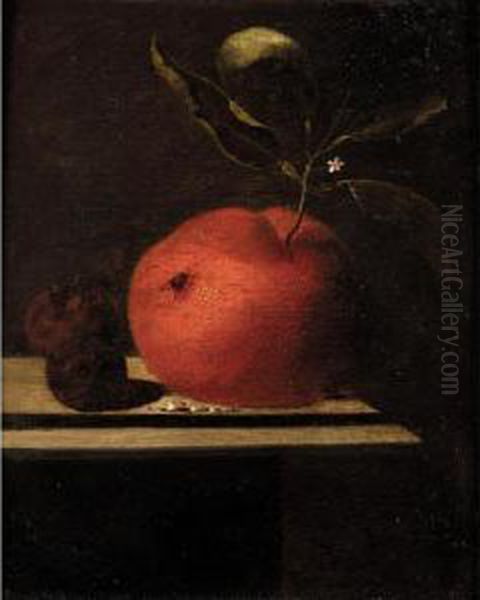 A Still Life Of An Orange And Two Medlars Upon A Ledge Oil Painting by Marten Nellius