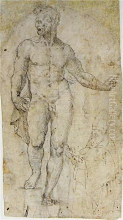 A Standing Nude With Subsidiary 
Studies Of A Male Head In Profileand A Bishop (recto); A Standing Nude 
(verso) Oil Painting by Bartolomeo Neroni