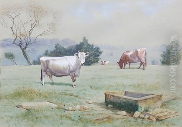 Cattle Grazing In A Field Oil Painting by Basil J. Nightingale