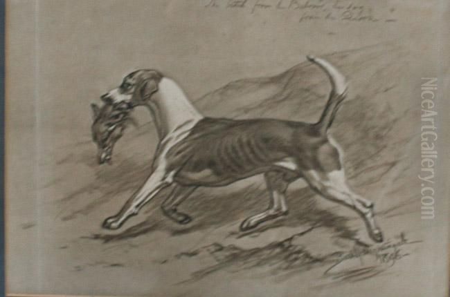 The Bitch From Thebelvoir Oil Painting by Basil J. Nightingale