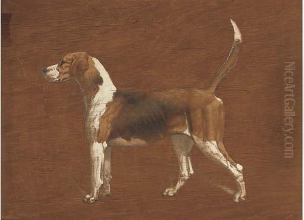Wallflower, A Hound From The North Warwickshire Hunt; And Afox Oil Painting by Basil J. Nightingale