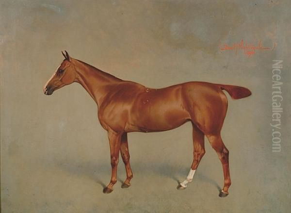 Portrait Of A Hunter Oil Painting by Basil J. Nightingale