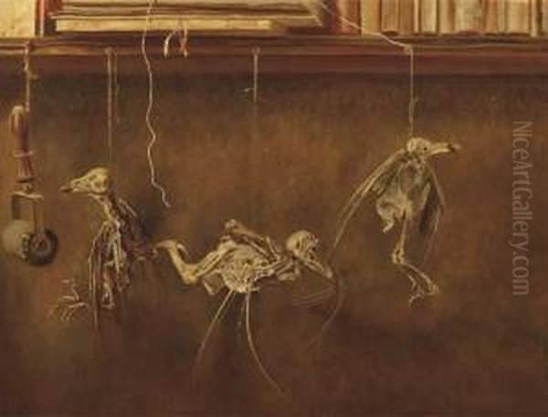 Stilleven Met Vogelskeletjes - A Still Life With Bird'sskeletons Oil Painting by Dirk Nijland