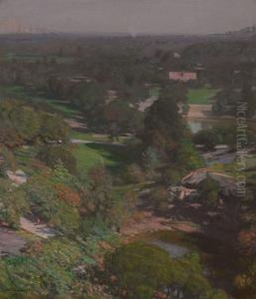 Central Park, New York Oil Painting by Arturo Noci