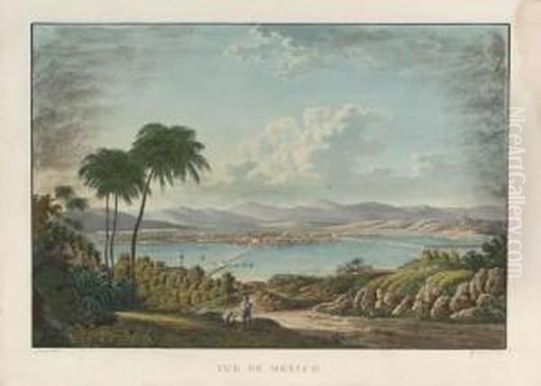 Vue De Mexico Oil Painting by Noel, Alexandre Jean