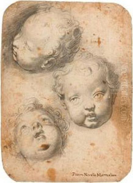 Study Of Three Putto Heads. Oil Painting by Pietro Novelli