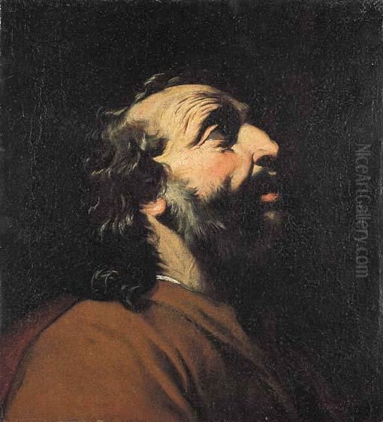 Testa D'uomo Oil Painting by Pietro Novelli