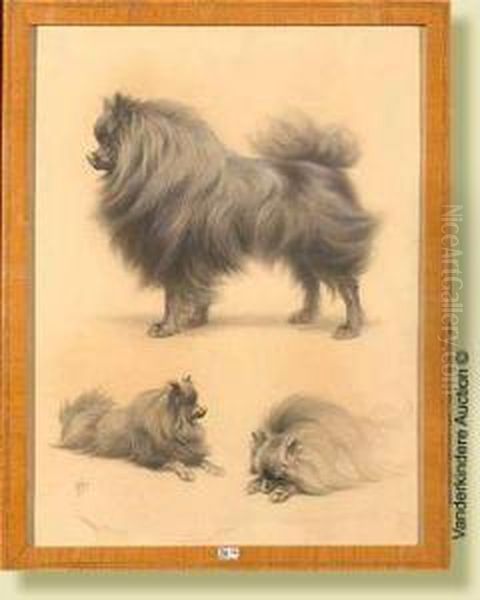 Etudesde Chien, Fusain Rehausse 
Sur Papier. Signe En Bas A Gauche F.oger. Ecole Francaise. Dim.: 61x46 
Cm Oil Painting by Ferdinand Oger