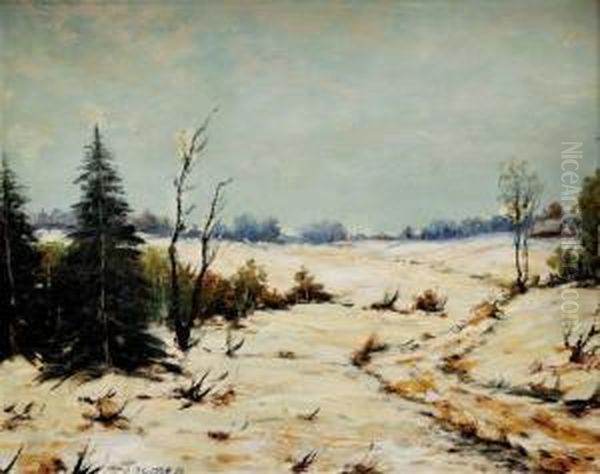 Zimna Krajina Oil Painting by Blazicek Oldoich
