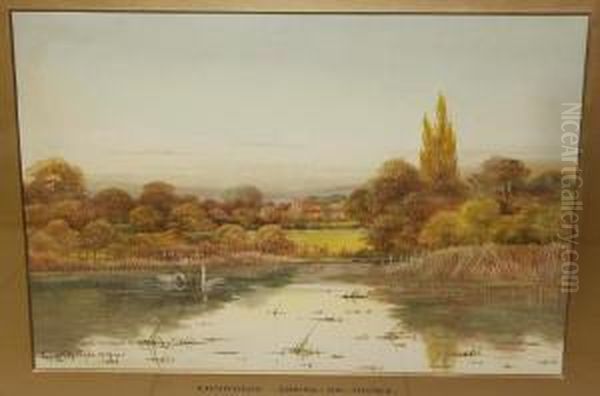 Backwaters Oil Painting by George Oyston