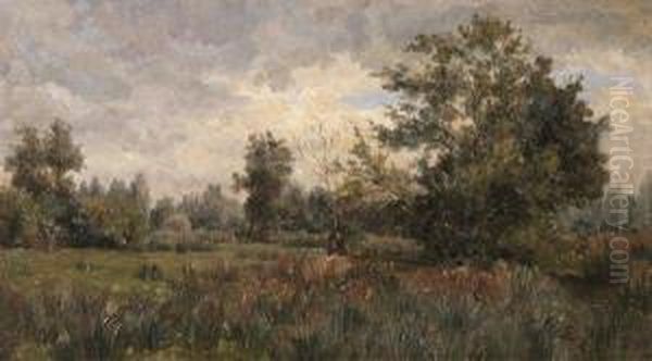 Paysage De Sous-bois Oil Painting by Edouard Pail