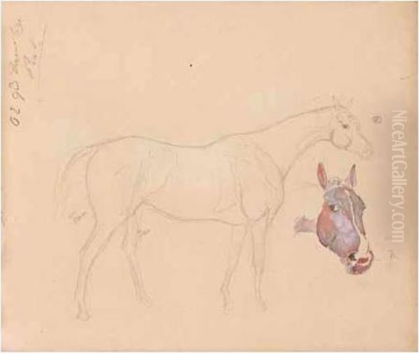 A Sketchbook Of Studies Of Horses Oil Painting by James Lynwood Palmer
