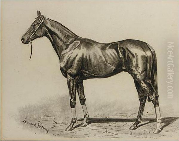 Cyllene Oil Painting by James Lynwood Palmer