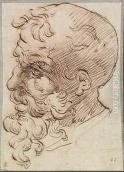 Testa Virile Oil Painting by Bartolomeo Passarotti