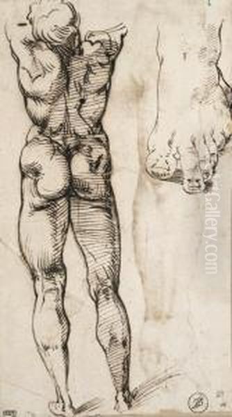 A Nude Seen From Behind And A 
Study Of A Foot (recto); Two Studiesof Arms And A Head (verso) Oil Painting by Bartolomeo Passarotti