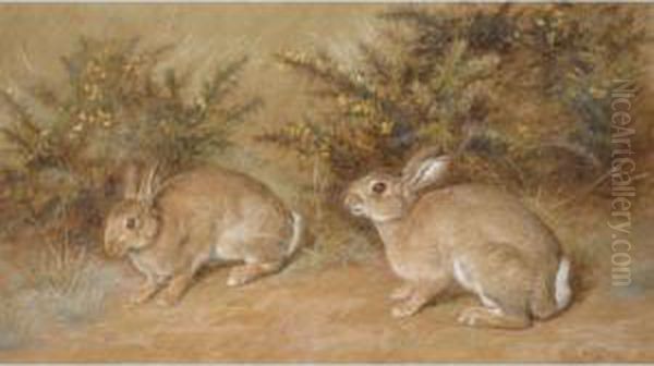Two Rabbits Oil Painting by Frank Paton