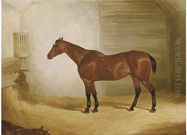 A bay in a stable Oil Painting by John Dalby