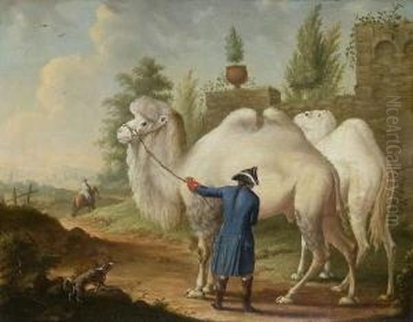 Ein Dromedarius Oder Trampeltier
 Und Cameel ... Oil Painting by Johann Georg Pforr