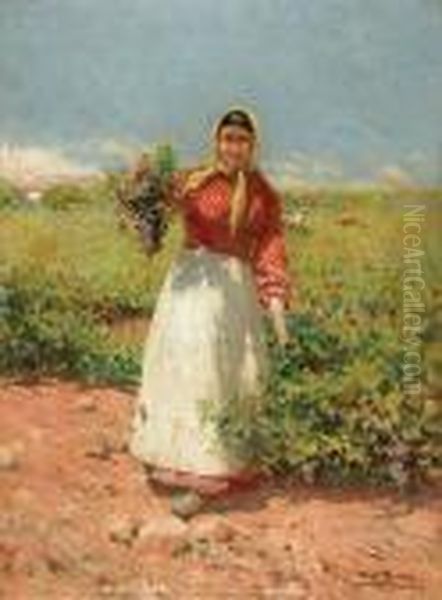 Vendimiadora.
 Oleo Sobre Lienzo Adherido A Car Oil Painting by Alberto Pla y Rubio