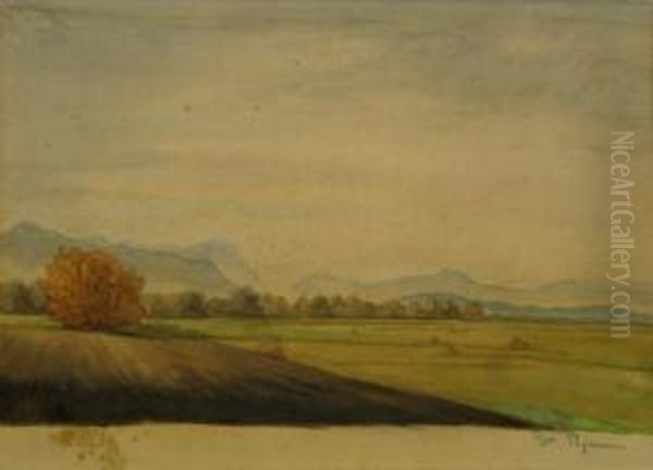 Peisaj Oil Painting by Stefan Popescu