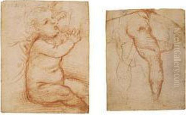 Study Of The Christ Child Suckling Oil Painting by (Giovanni Antonio de' Sacchis) Pordenone