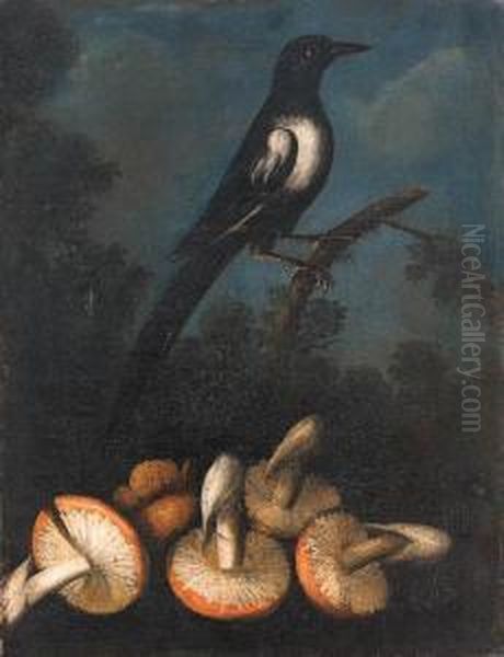 A Magpie Perched On A Branch With Fungi In The Foreground Oil Painting by Paolo Porpora