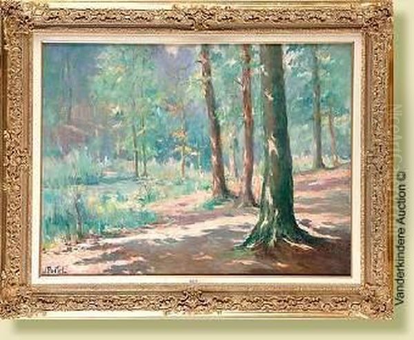 Sous-bois Ensoleille Oil Painting by Jules Postel