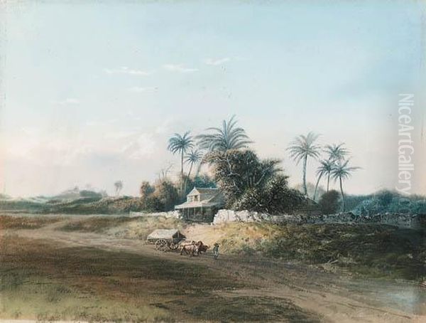 Scenes In The West Indies Oil Painting by Adolphe Martial Potemont