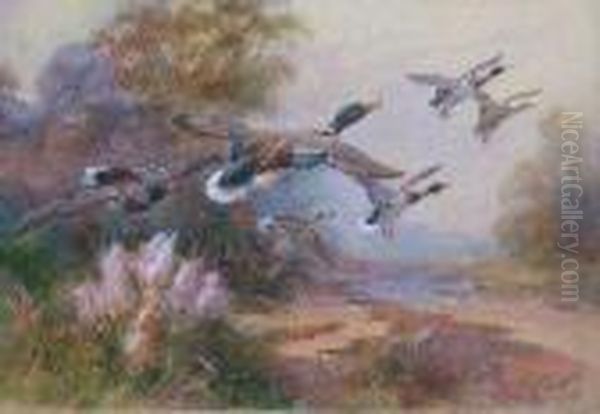 Ducks In Flight Oil Painting by William E. Powell