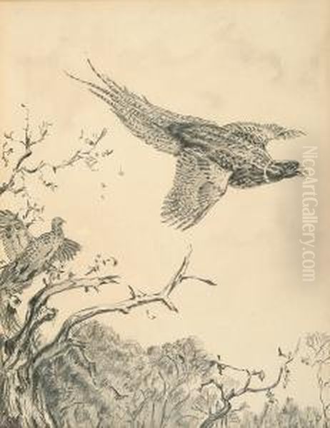 Pheasant In Flight; Hovering Woodcock Oil Painting by William E. Powell