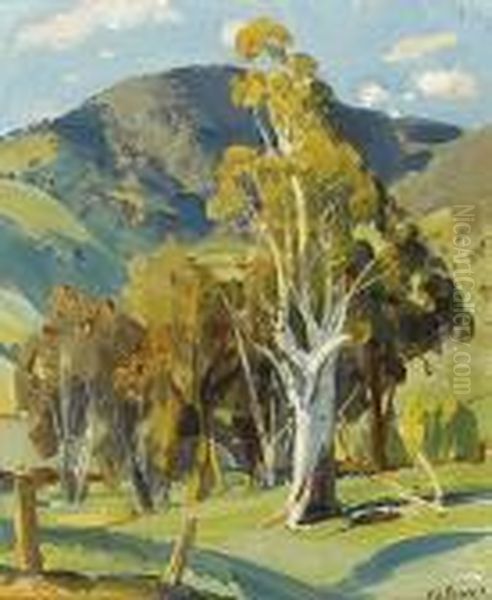 White Gum Oil Painting by Harold Septimus Power