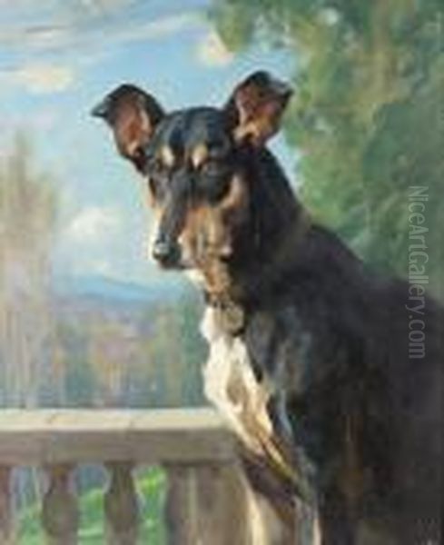 Portrait Of Tallulah, A Smooth Collie Oil Painting by Harold Septimus Power