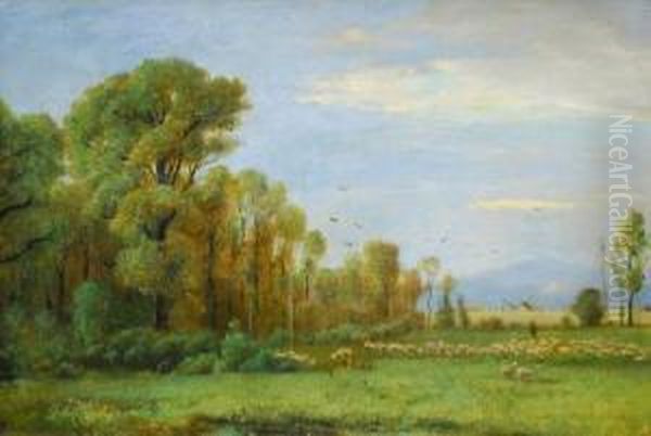 Grasende Schafherde Am Waldrand Oil Painting by Friedrich I Preller