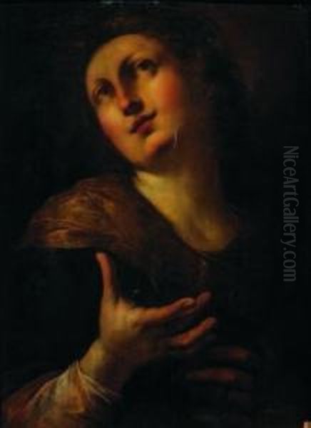 Santa Filomena Martire Oil Painting by Giulio Cesare Procaccini