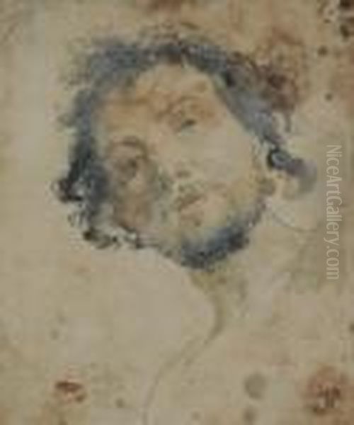 Testa Maschile Oil Painting by Tullio Quinzio