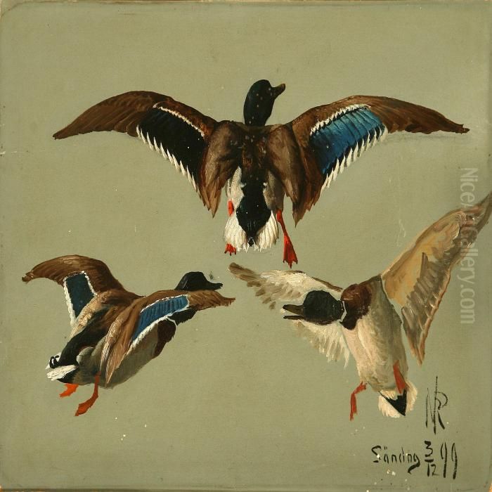 Ducks Oil Painting by Niels Pieter Rasmussen