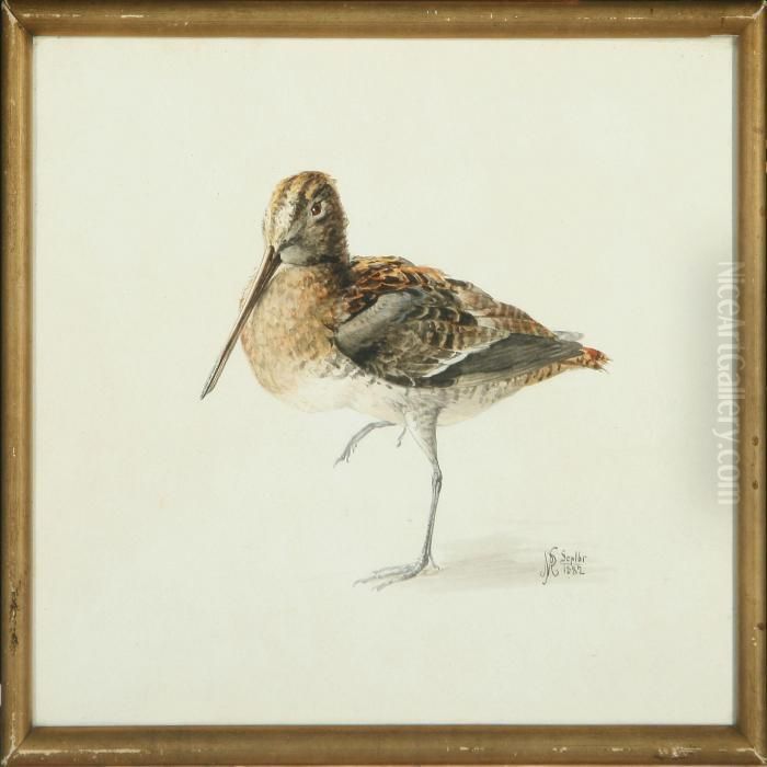 Jack Snipe Oil Painting by Niels Pieter Rasmussen