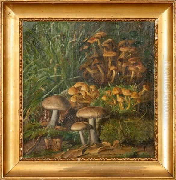 Mushrooms In A Forest Floor Oil Painting by Niels Pieter Rasmussen