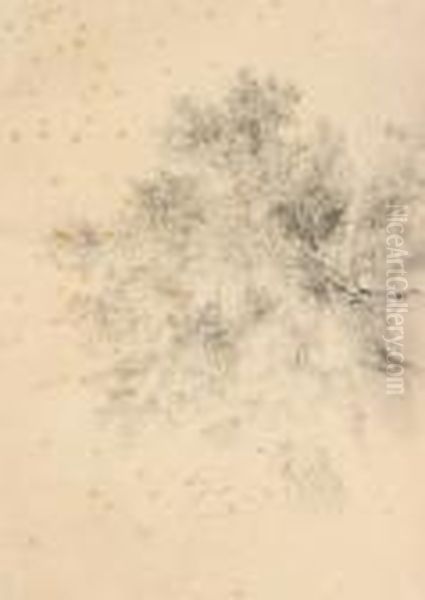 Fronde D'albero Oil Painting by Ernesto Rayper