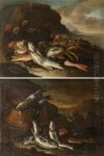 Natura Morta Con Pesci E Catino Di Rame 
Natura Morta Con Pesci E Crostacei Oil Painting by Elena Recco