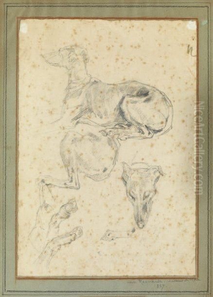 Levrette Cinq Etudes Sur La Meme Planche Oil Painting by Regnault Henri