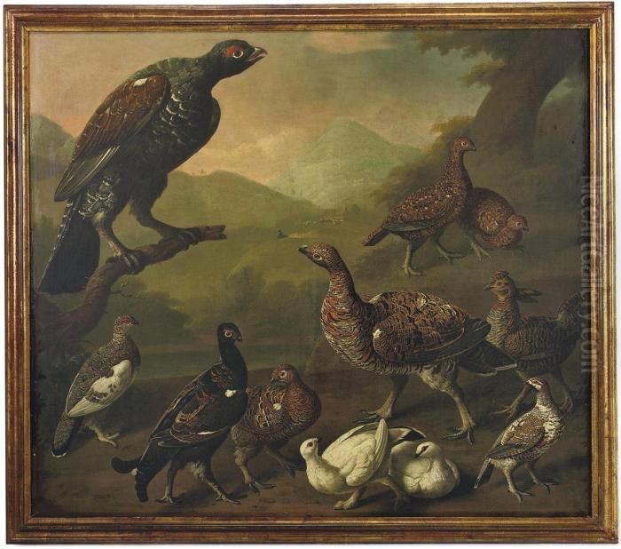 A Large Male Black Grouse, 
Lyrurus Tetrix, Perched On A Branch Andsurrounded By A Variety Of Other 
Grouse Including Male And Femalevarieties Of Red Grouse, Lagopus 
Lagopus, And Ptarmigans Displayingboth Summer And Winter Plumage Oil Painting by Philip Reinagle