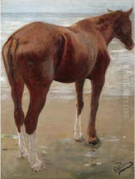 The Bay Horse Oil Painting by Repin Iliya