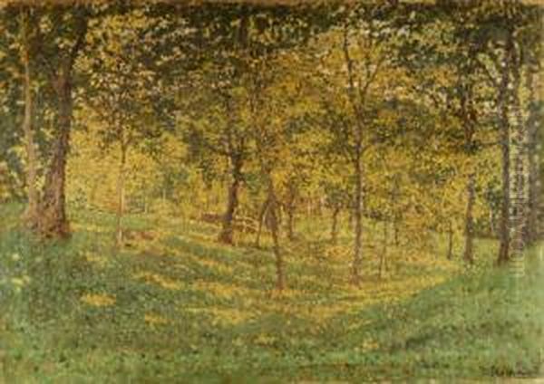 Paesaggio Autunnale Oil Painting by Enrico Reycend