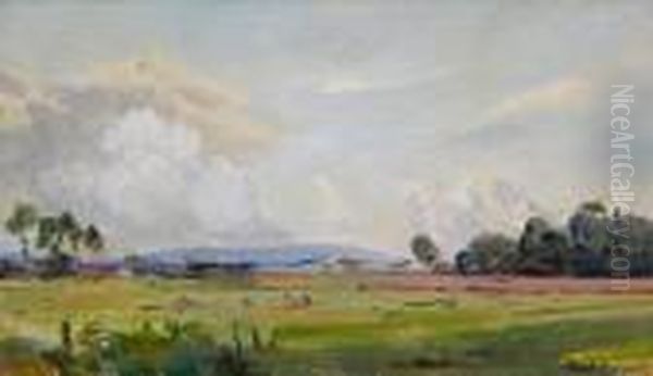 Looking Across To Purbeck Hills Oil Painting by Frank Richards