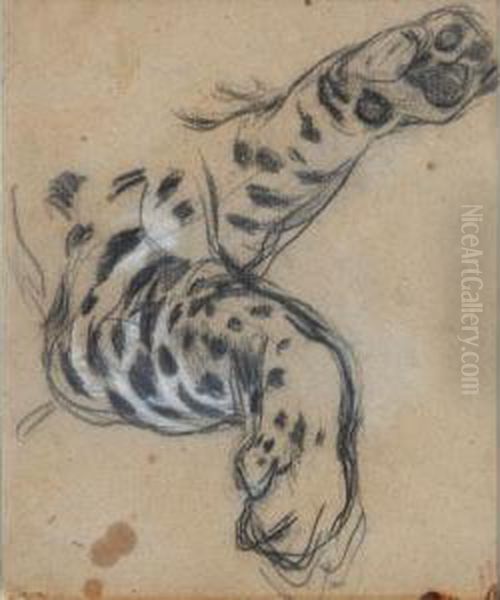 Etude De Patte De Fauve Oil Painting by Leon Louis Antoine Riesener